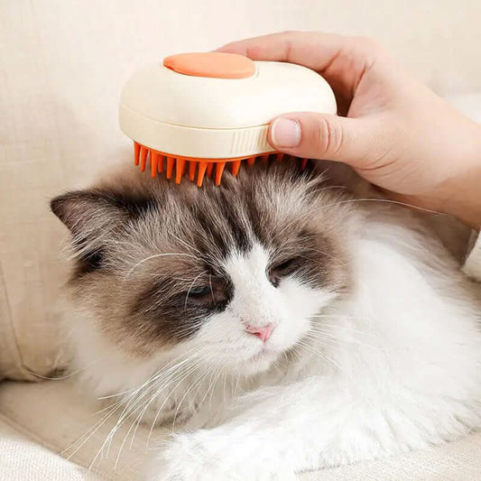 Peigne de toilettage électrique Les Visionnaires