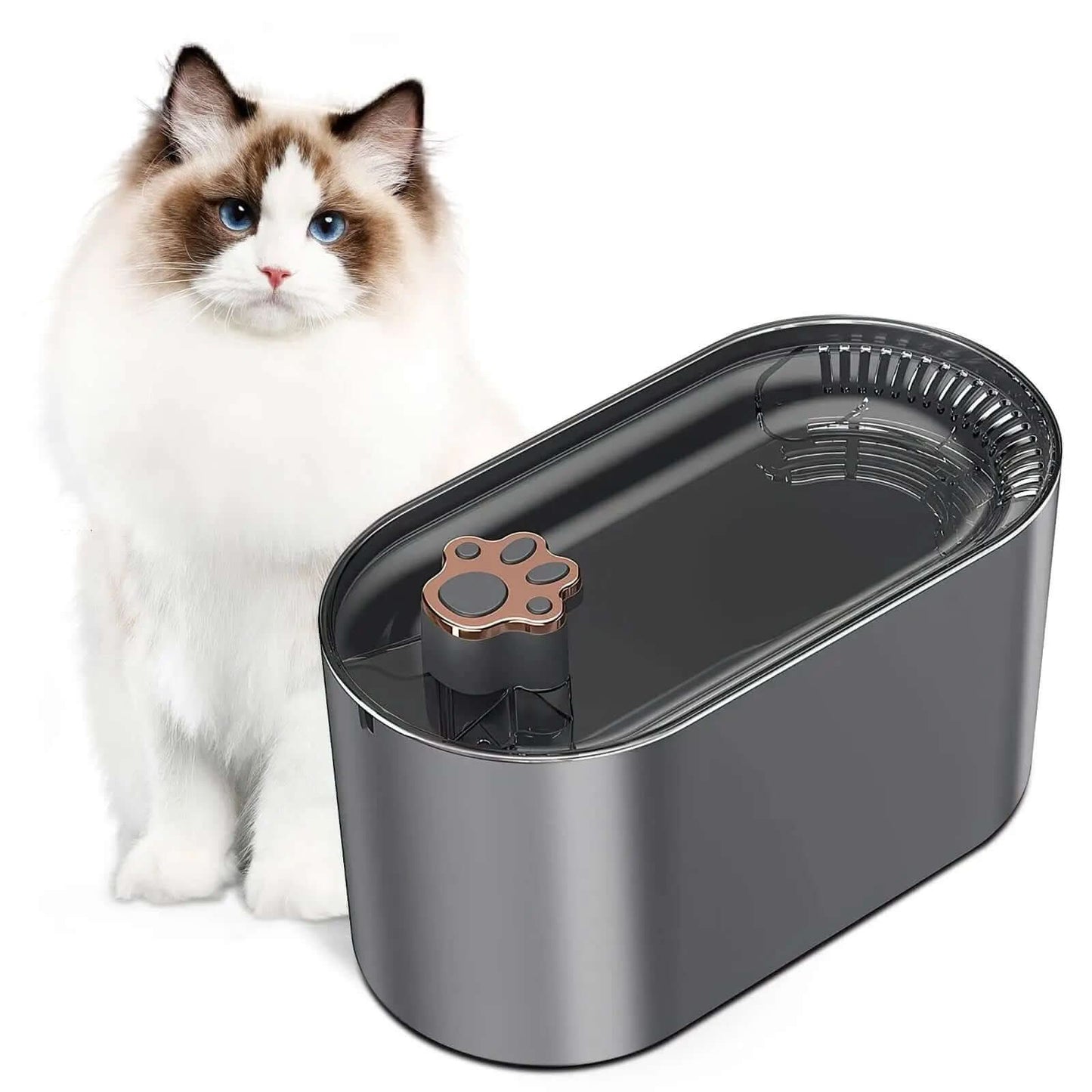 Fontaine à Eau Automatique 3L pour Chats et Chiens Les Visionnaires