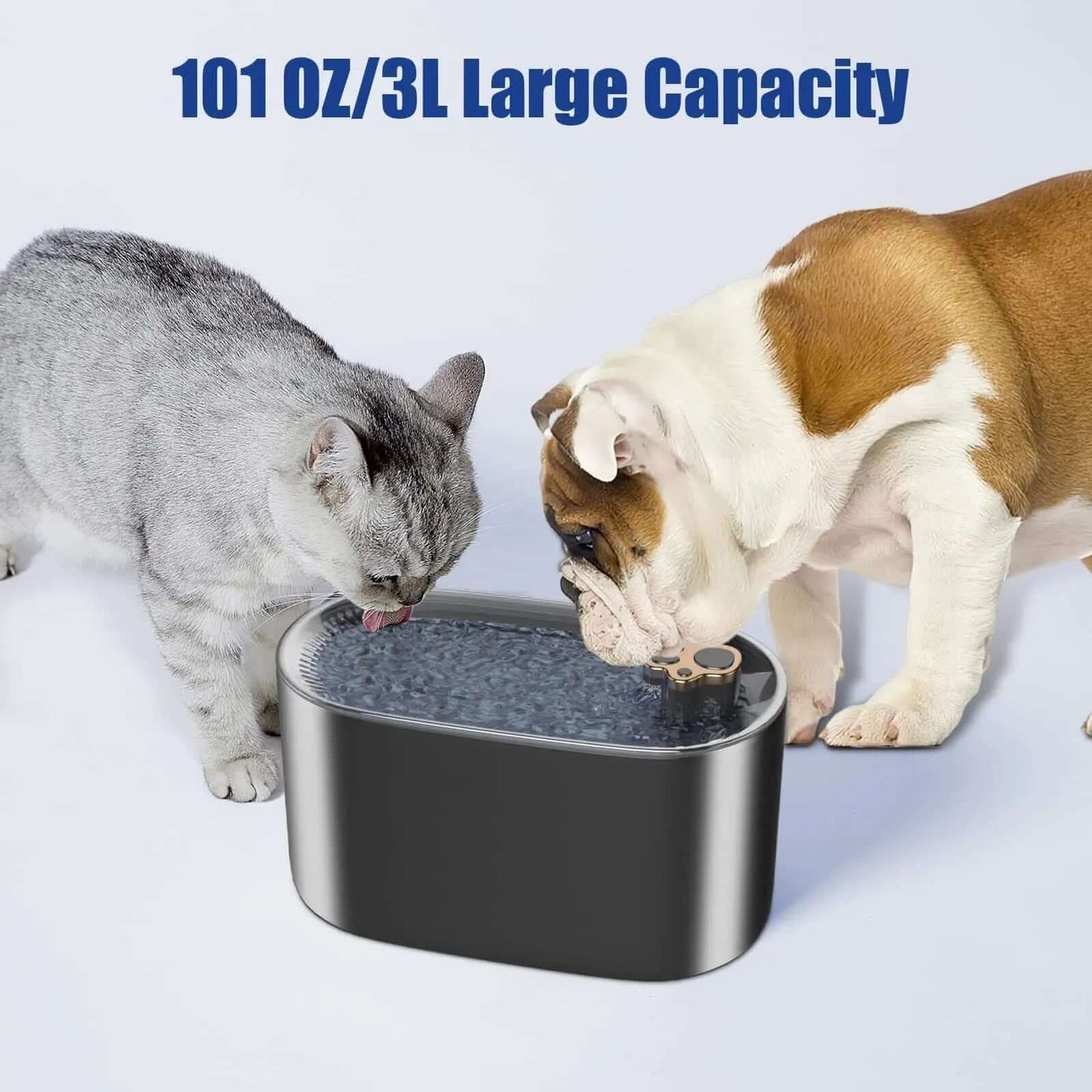 Fontaine à Eau Automatique 3L pour Chats et Chiens Les Visionnaires