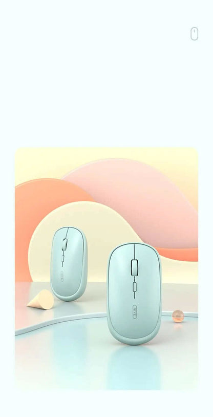 Souris rechargeable pour ordinateur portable Les Visionnaires
