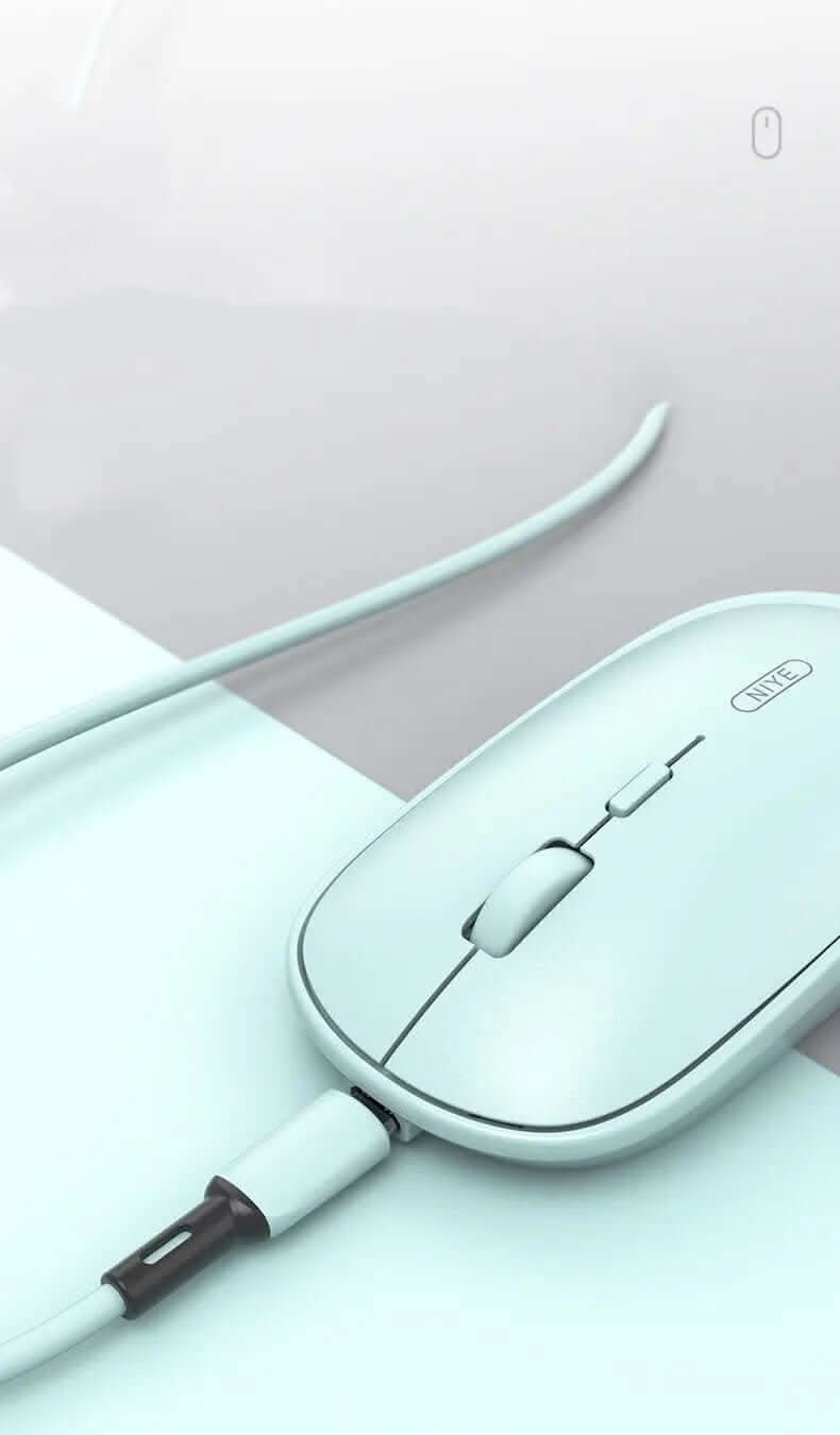 Souris rechargeable pour ordinateur portable Les Visionnaires