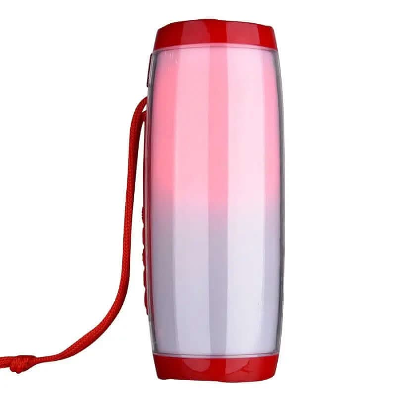 Haut-parleur Bluetooth sans fil 10W Les Visionnaires
