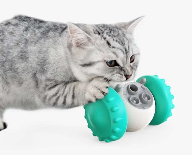 Jouets pour chats et chiens, alimentation lente, voiture Les Visionnaires