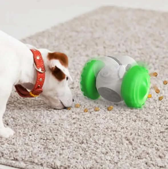 Jouets pour chats et chiens, alimentation lente, voiture Les Visionnaires