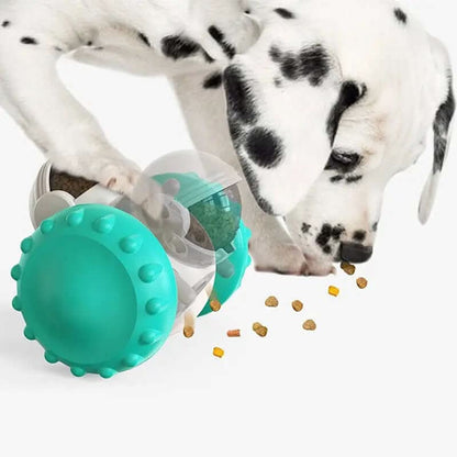 Jouets pour chats et chiens, alimentation lente, voiture Les Visionnaires