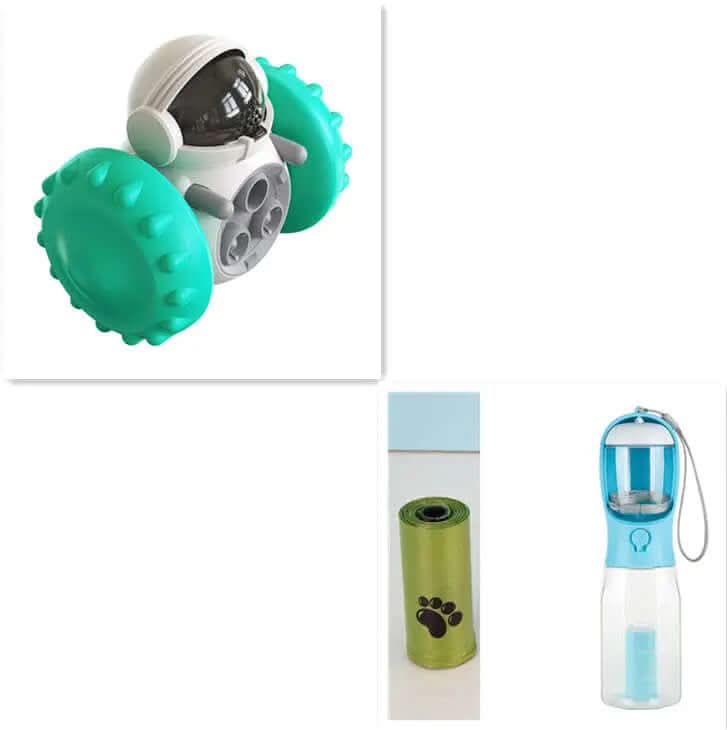 Jouets pour chats et chiens, alimentation lente, voiture Les Visionnaires