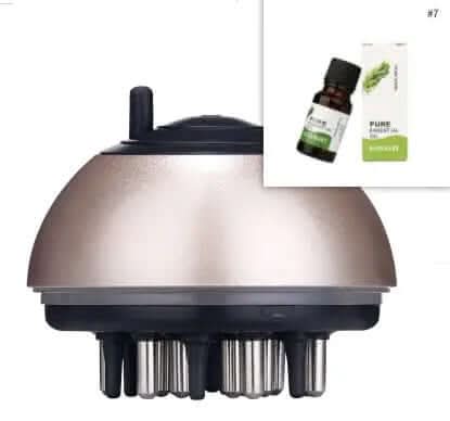 Peigne Applicateur de Soins Capillaires Les Visionnaires