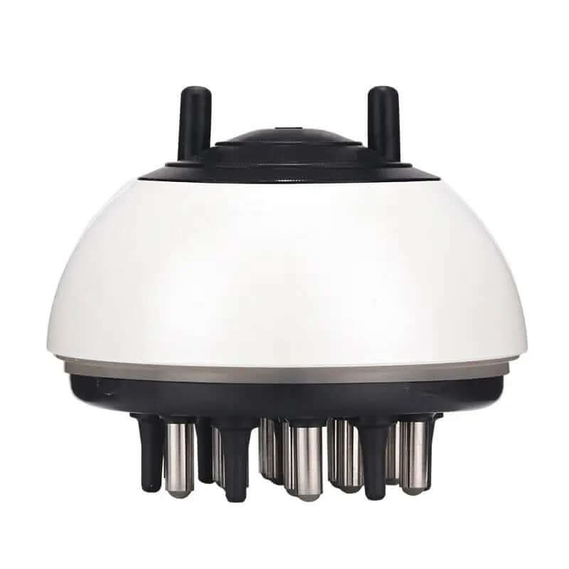 Peigne Applicateur de Soins Capillaires Les Visionnaires