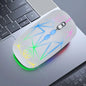 Souris Bluetooth sans fil à double mode avec éclairage et recharge Les Visionnaires