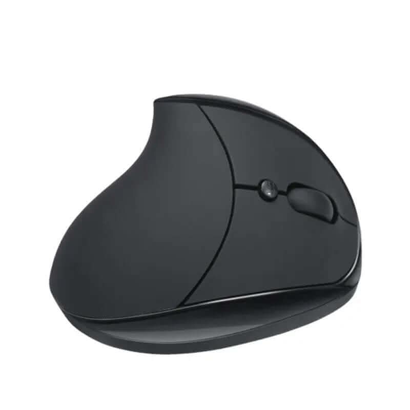 Souris ergonomique verticale sans fil 2.4G Les Visionnaires