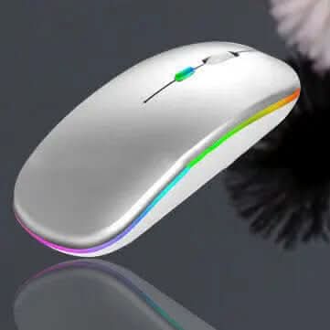 Souris sans fil Bluetooth à double mode Les Visionnaires