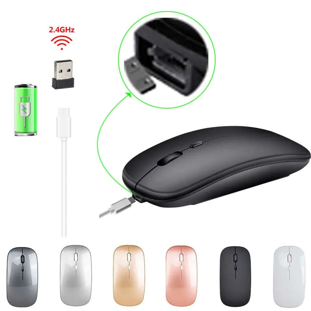 souris sans fil double mode Les Visionnaires
