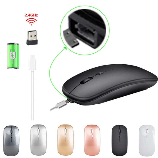 souris sans fil double mode Les Visionnaires