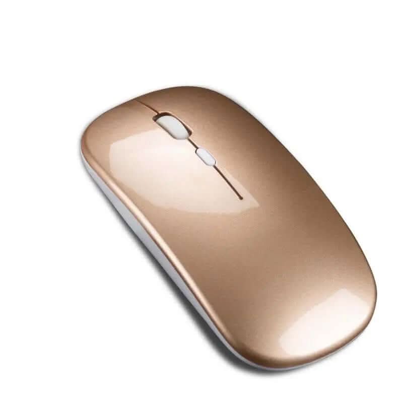 souris sans fil double mode Les Visionnaires
