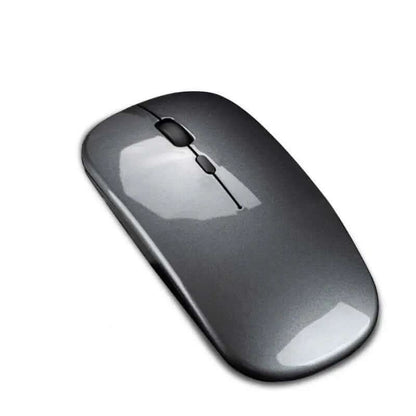 souris sans fil double mode Les Visionnaires