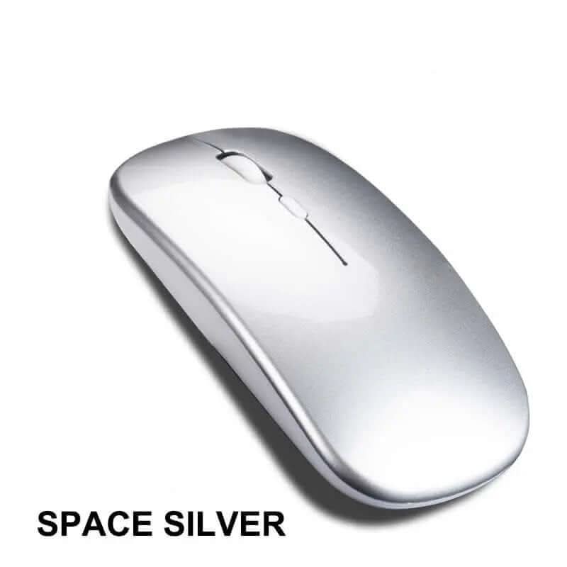 souris sans fil double mode Les Visionnaires