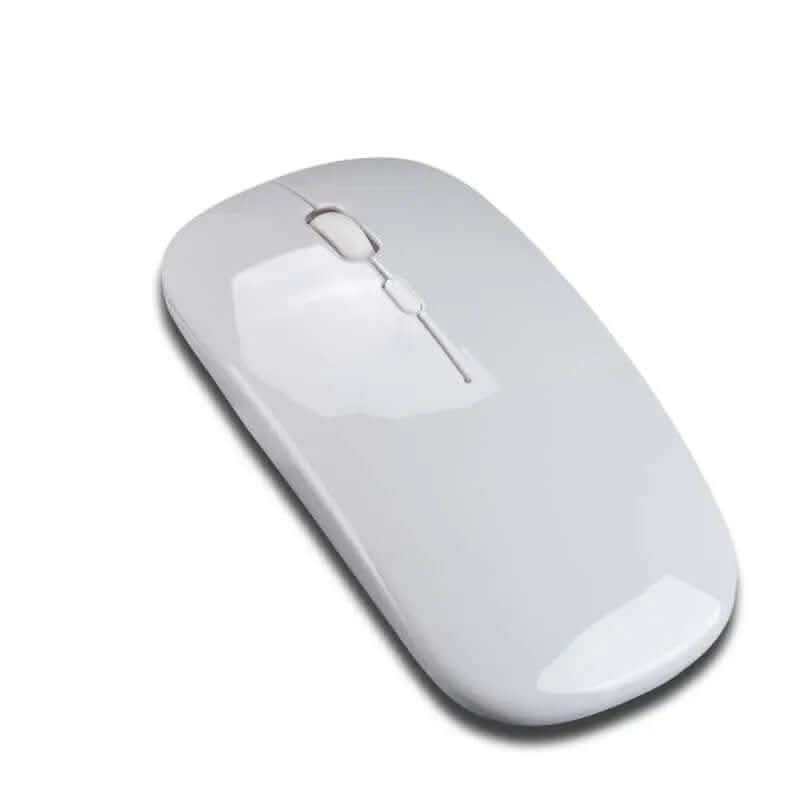 souris sans fil double mode Les Visionnaires