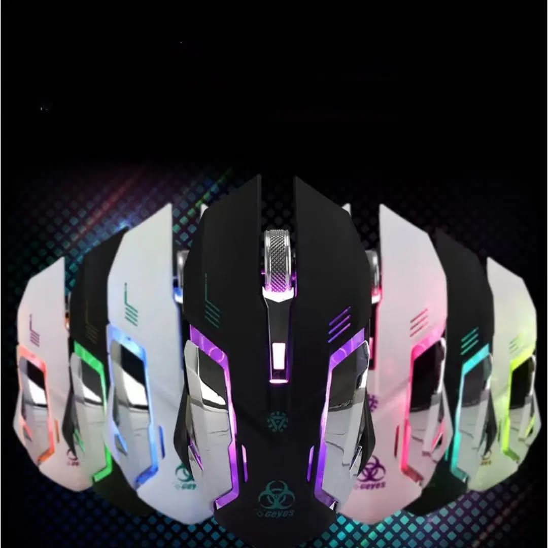 Souris sans fil rechargeable pour ordinateur Les Visionnaires