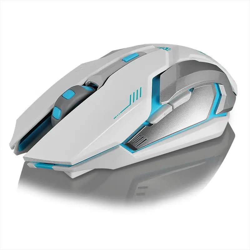 Souris sans fil rechargeable pour ordinateur Les Visionnaires