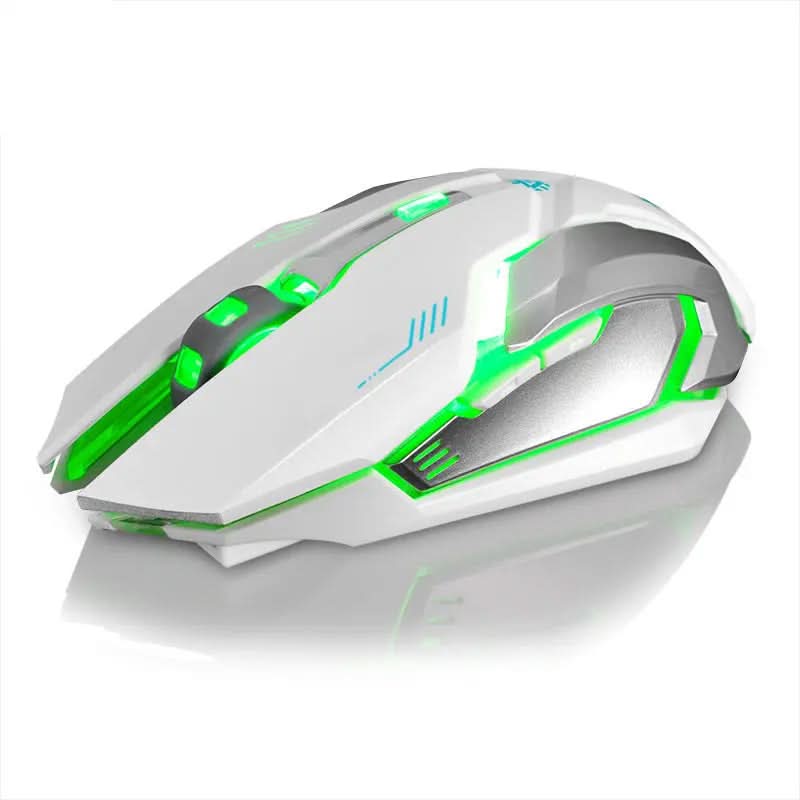 Souris sans fil rechargeable pour ordinateur Les Visionnaires