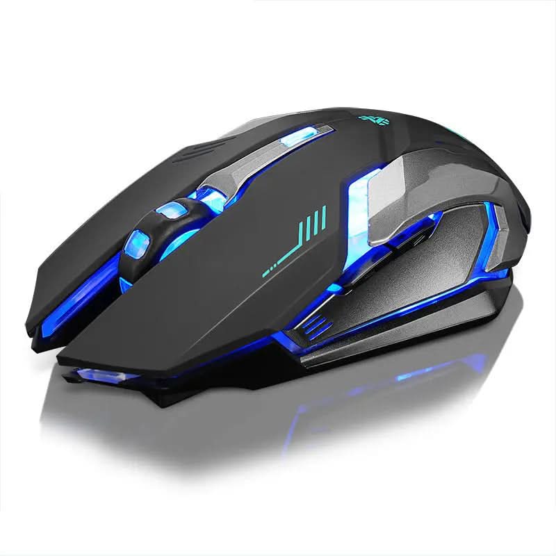 Souris sans fil rechargeable pour ordinateur Les Visionnaires