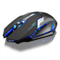 Souris sans fil rechargeable pour ordinateur Les Visionnaires