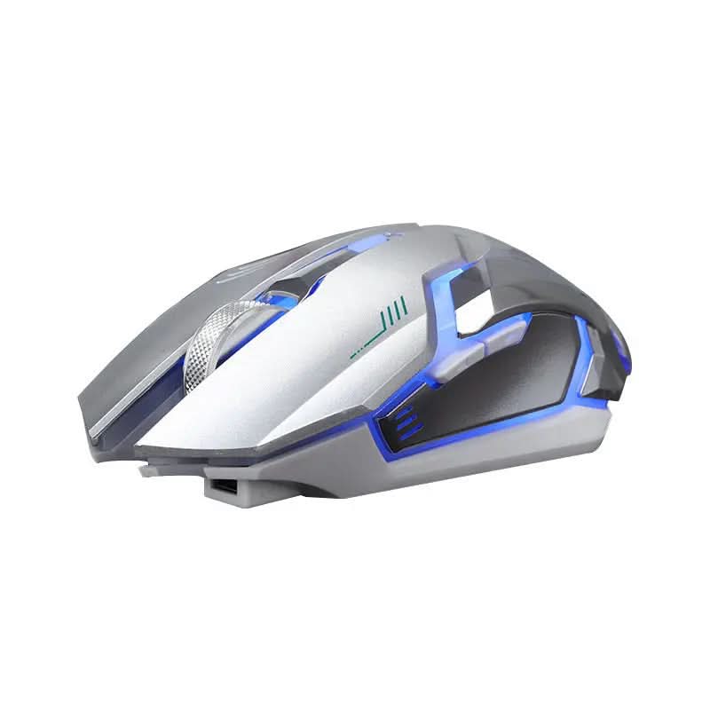 Souris sans fil rechargeable pour ordinateur Les Visionnaires