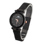 Star Watch Les Visionnaires