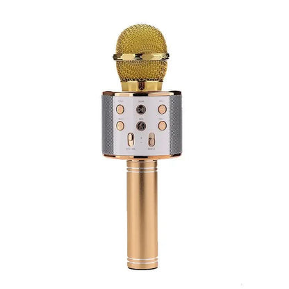 Microphone sans fil Bluetooth portable pour karaoké à domicile Les Visionnaires