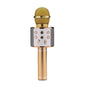 Microphone sans fil Bluetooth portable pour karaoké à domicile Les Visionnaires