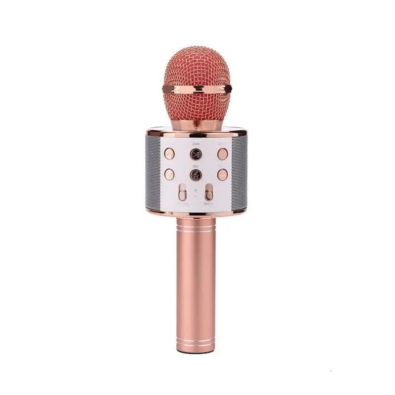 Microphone sans fil Bluetooth portable pour karaoké à domicile Les Visionnaires