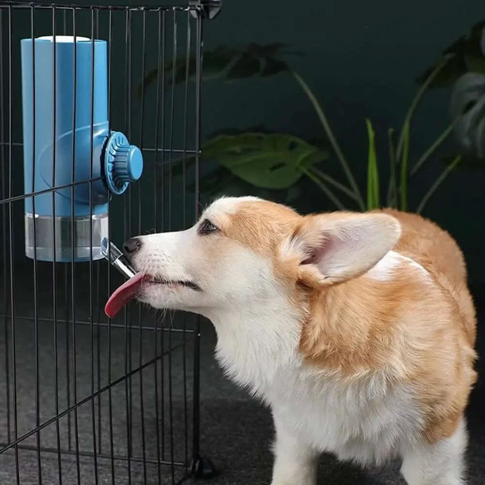 distributeur d'eau pour animaux - suspendu - Les Visionnaires