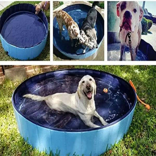 Piscine Pliable pour Chiens Les Visionnaires