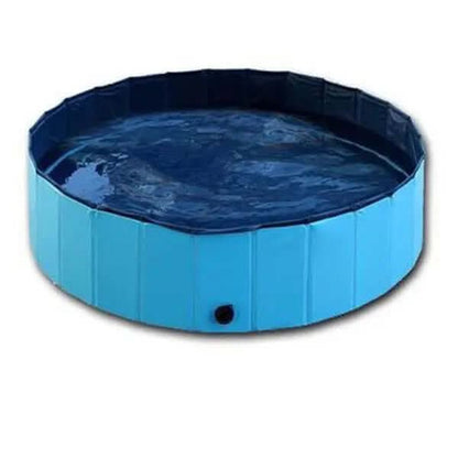 Piscine Pliable pour Chiens Les Visionnaires