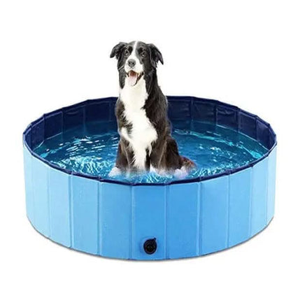 Piscine Pliable pour Chiens Les Visionnaires
