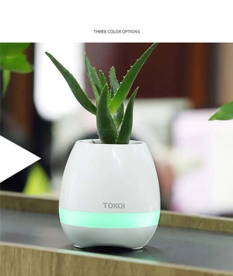 Vase Musical Sensible au Toucher – Un Mélange de Son et de Lumière Les Visionnaires