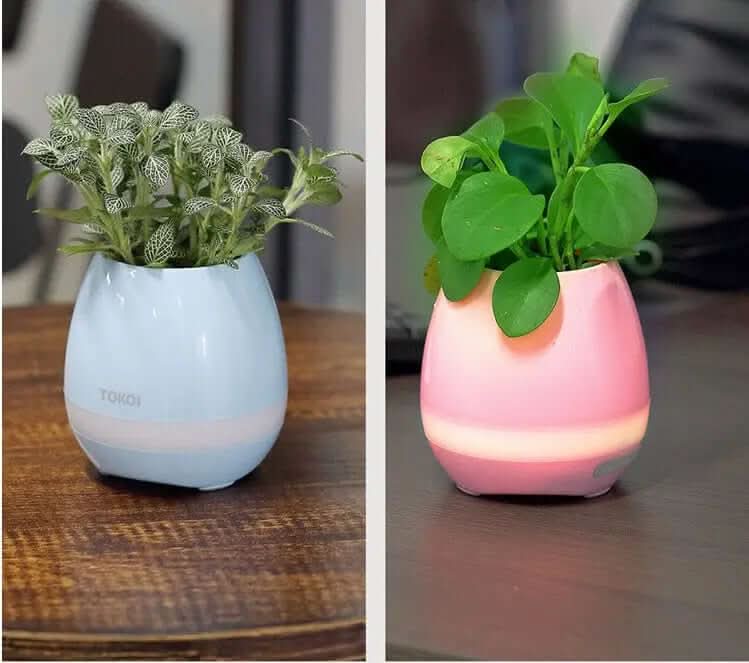 Vase Musical Sensible au Toucher – Un Mélange de Son et de Lumière Les Visionnaires