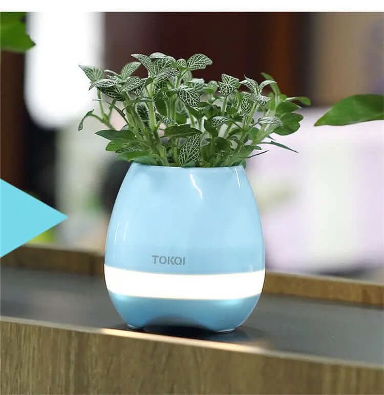 Vase Musical Sensible au Toucher – Un Mélange de Son et de Lumière Les Visionnaires