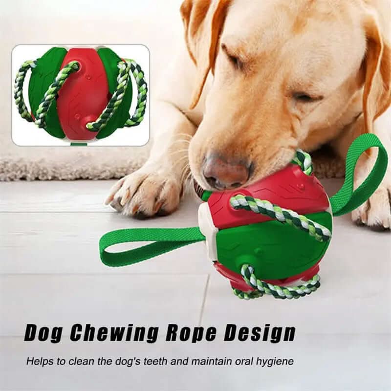 Ballon de Football pour Chien, jouet animaux de compagnies Les Visionnaires