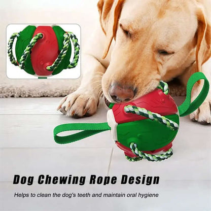 Ballon de Football pour Chien, jouet animaux de compagnies Les Visionnaires