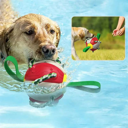 Ballon de Football pour Chien, jouet animaux de compagnies Les Visionnaires