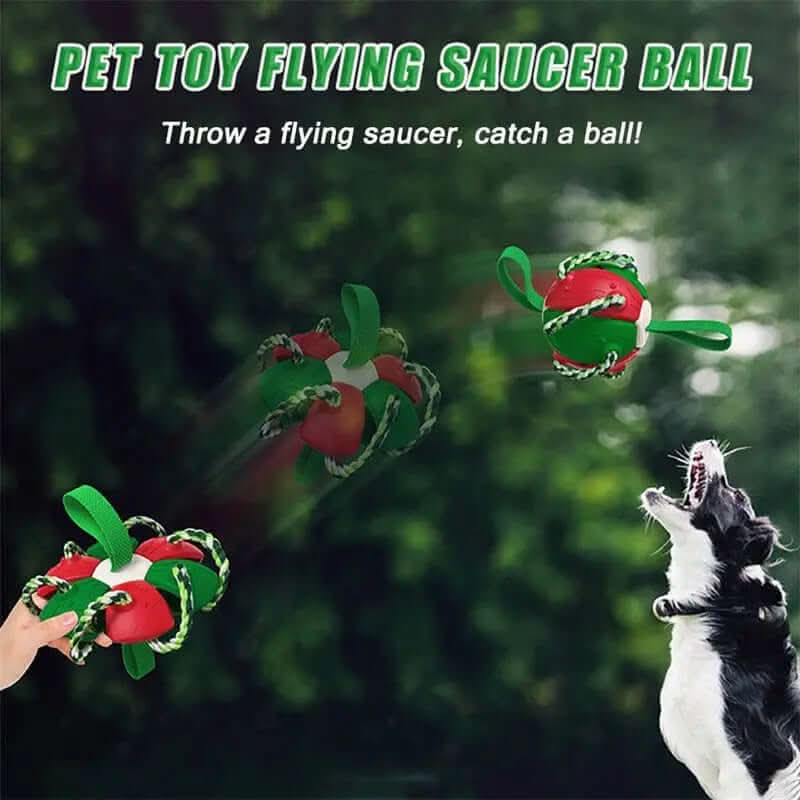 Ballon de Football pour Chien, jouet animaux de compagnies Les Visionnaires