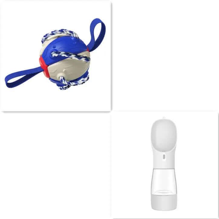 Ballon de Football pour Chien, jouet animaux de compagnies Les Visionnaires