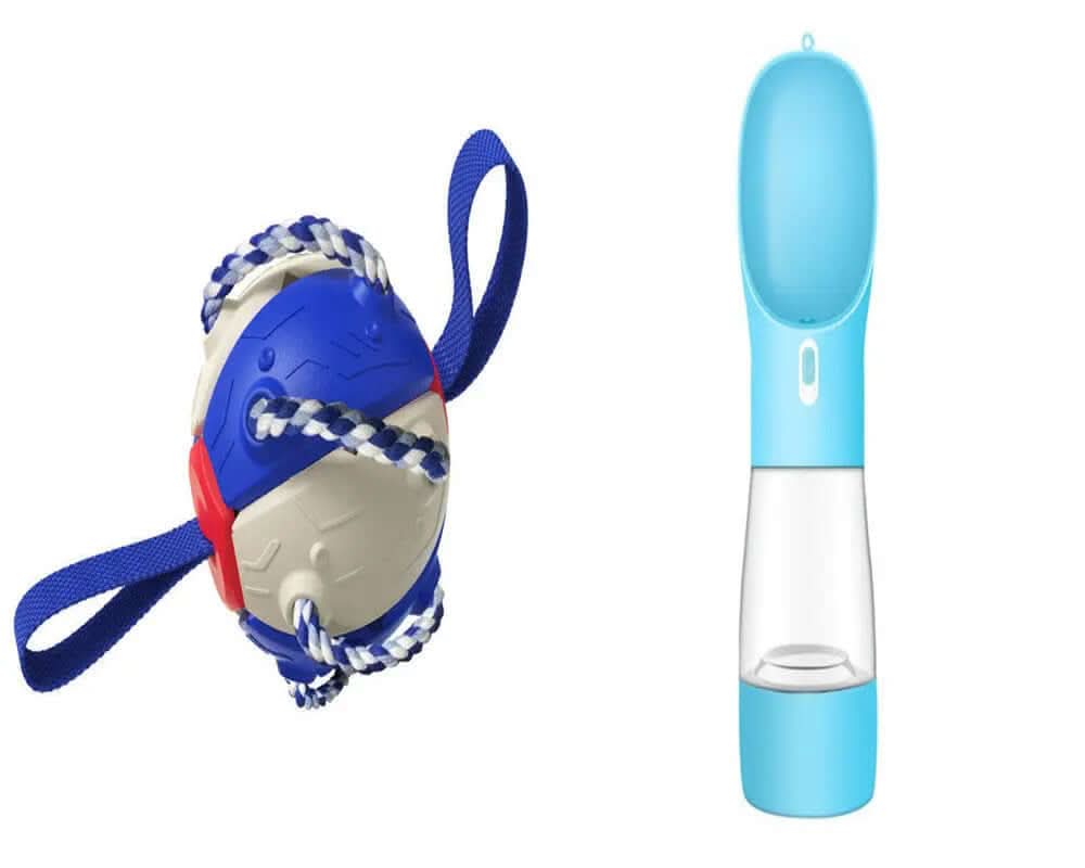 Ballon de Football pour Chien, jouet animaux de compagnies Les Visionnaires