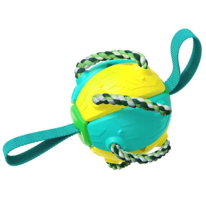 Ballon de Football pour Chien, jouet animaux de compagnies Les Visionnaires