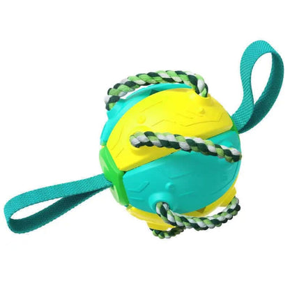 Ballon de Football pour Chien, jouet animaux de compagnies Les Visionnaires