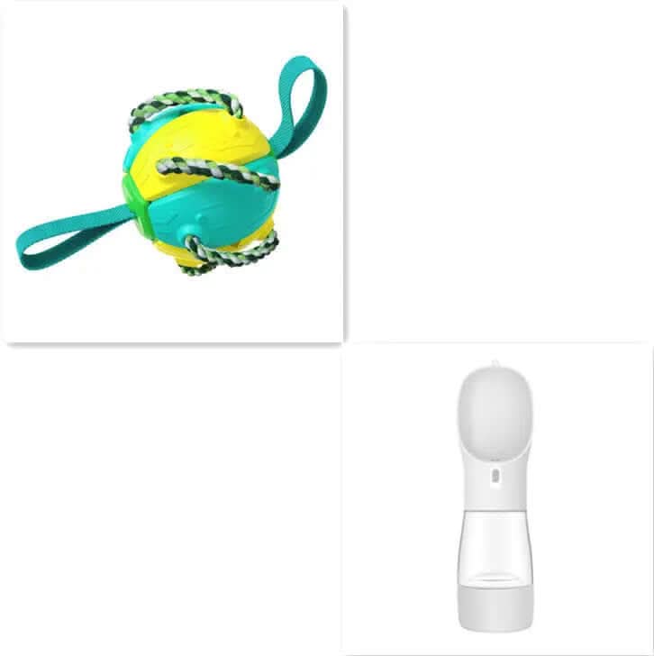 Ballon de Football pour Chien, jouet animaux de compagnies Les Visionnaires