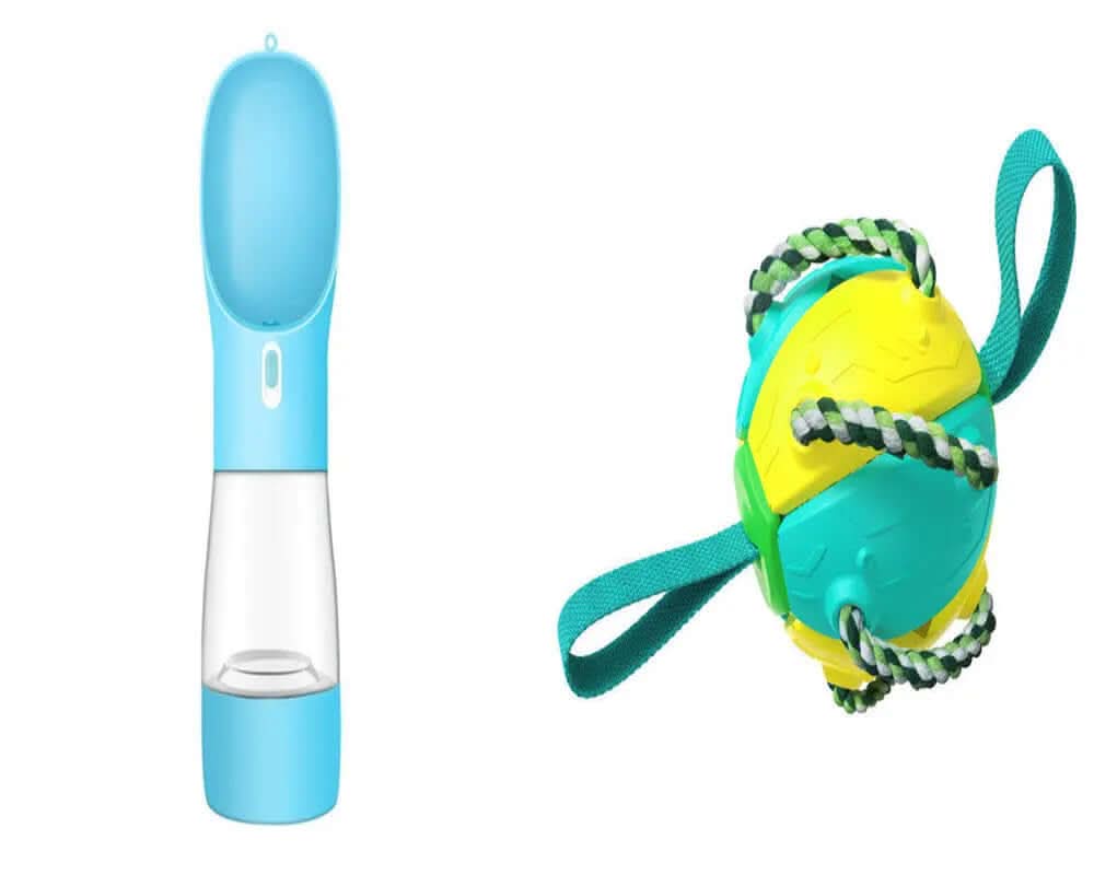 Ballon de Football pour Chien, jouet animaux de compagnies Les Visionnaires