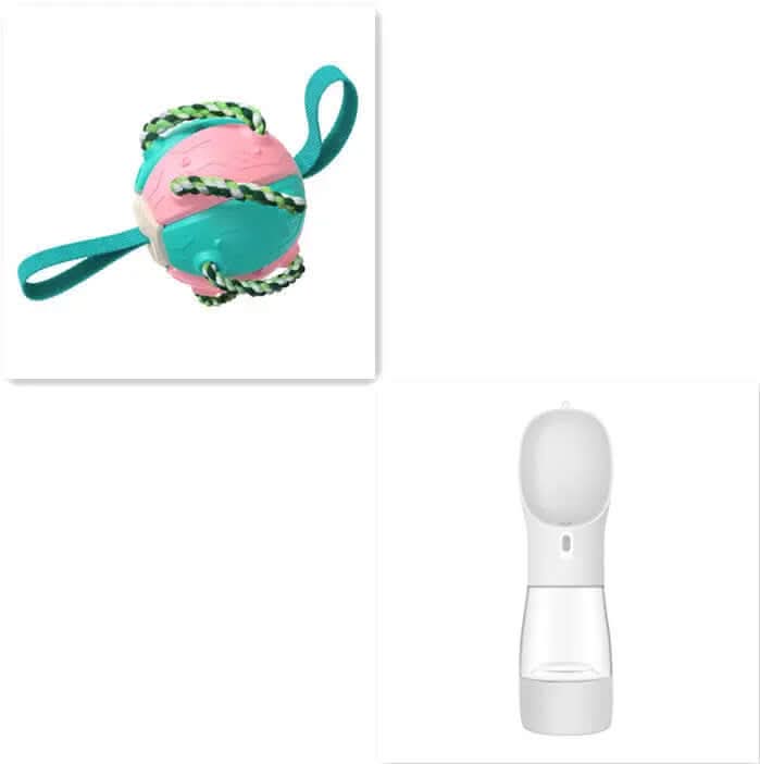 Ballon de Football pour Chien, jouet animaux de compagnies Les Visionnaires