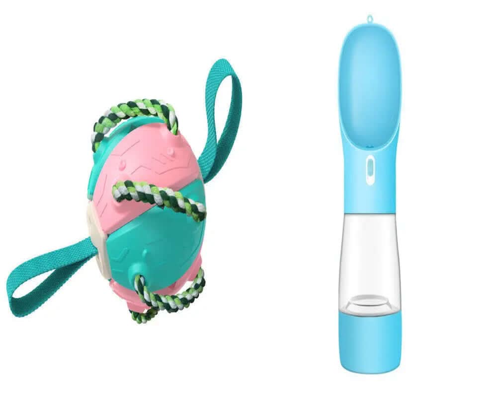 Ballon de Football pour Chien, jouet animaux de compagnies Les Visionnaires